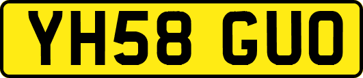 YH58GUO