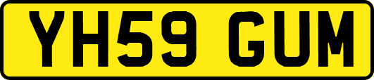 YH59GUM