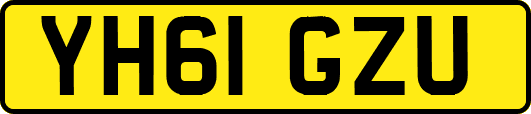 YH61GZU