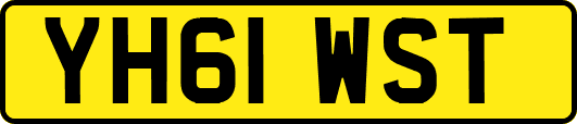 YH61WST