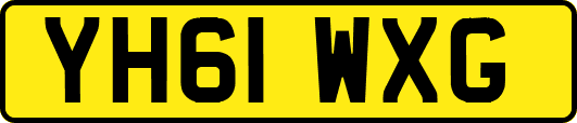 YH61WXG