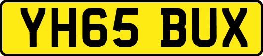 YH65BUX