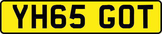YH65GOT