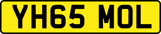 YH65MOL