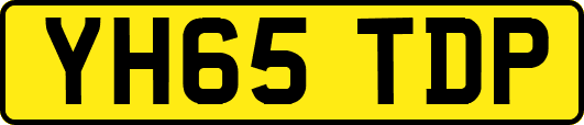 YH65TDP