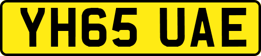 YH65UAE