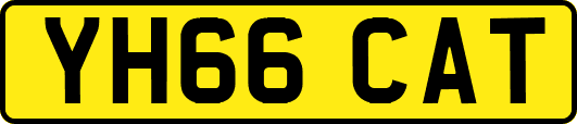 YH66CAT