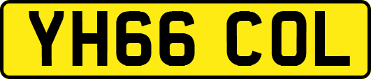 YH66COL