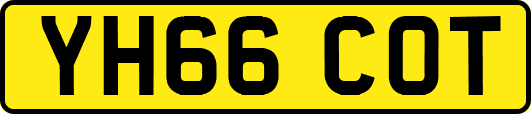 YH66COT