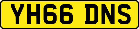 YH66DNS