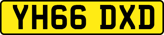 YH66DXD