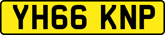 YH66KNP
