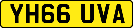 YH66UVA