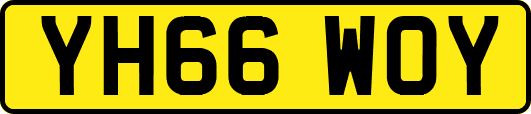 YH66WOY