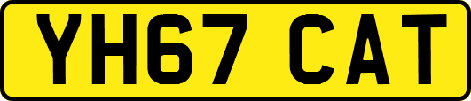 YH67CAT