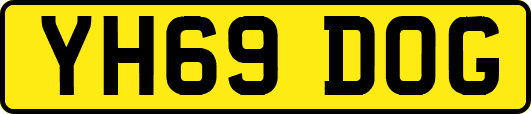 YH69DOG