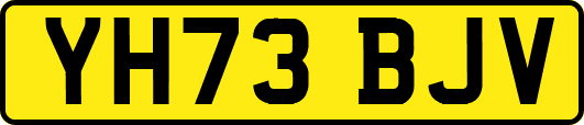 YH73BJV