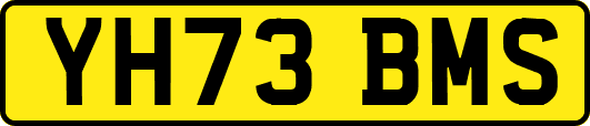 YH73BMS