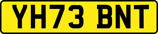 YH73BNT