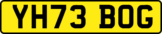 YH73BOG