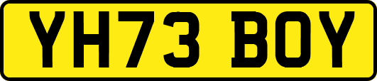 YH73BOY