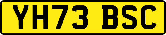 YH73BSC