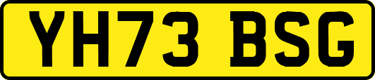 YH73BSG