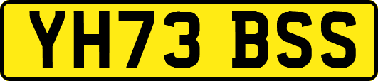 YH73BSS