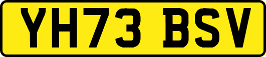YH73BSV