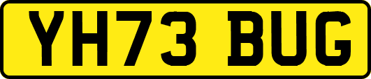 YH73BUG