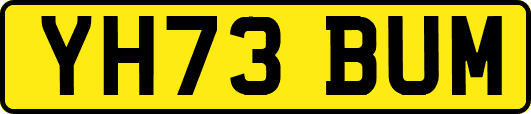 YH73BUM