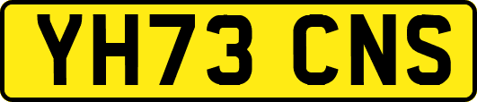 YH73CNS