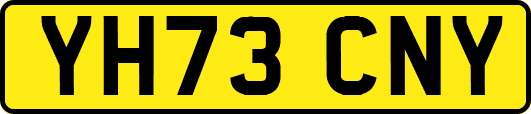 YH73CNY