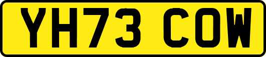 YH73COW
