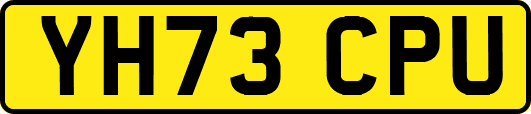 YH73CPU