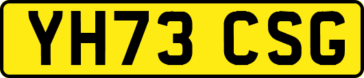YH73CSG
