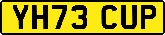 YH73CUP