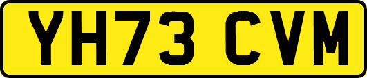 YH73CVM