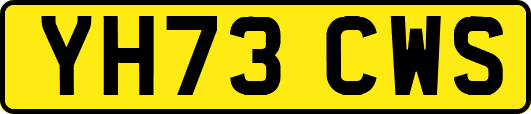 YH73CWS