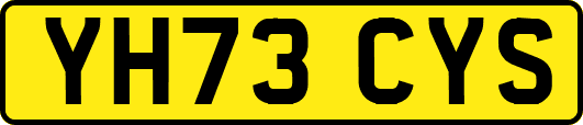YH73CYS