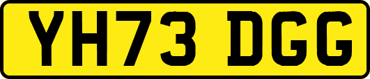 YH73DGG