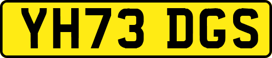 YH73DGS