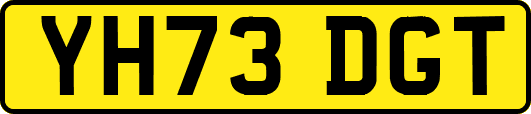 YH73DGT
