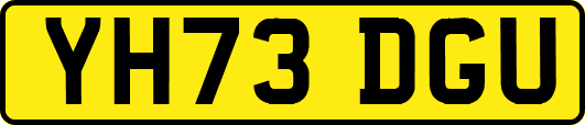 YH73DGU