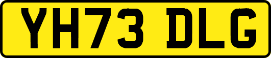 YH73DLG