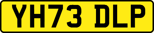 YH73DLP