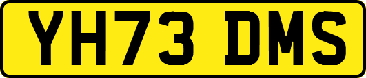 YH73DMS