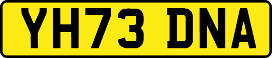 YH73DNA