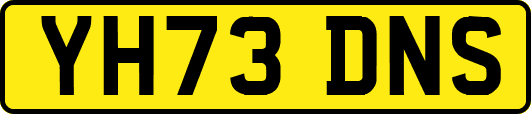 YH73DNS