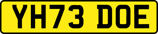 YH73DOE
